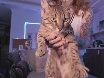 Gingerxsweetness July 06, 2025 Chaturbate stream image