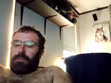 Dpsub July 08, 2025 Chaturbate stream image