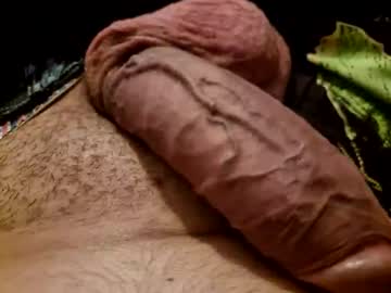 Preotu July 08, 2025 Chaturbate stream image