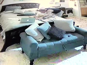 Spankandsubmit July 08, 2025 Chaturbate stream image