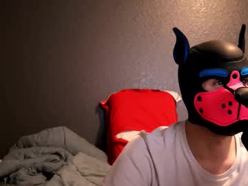 Puppydogger July 12, 2025 Chaturbate stream image