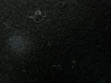 Minimaia stream photo from July 14, 2025