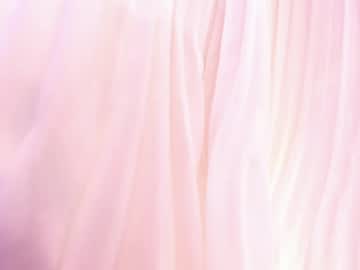 Arizona_Musee July 16, 2025 Chaturbate stream image