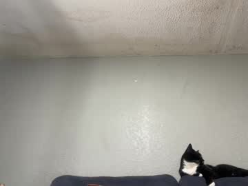 Sailormoonsnani94 July 19, 2025 Chaturbate stream image