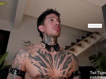 Tigerstripes_ July 22, 2025 Chaturbate stream image