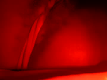 Gala_Starr July 22, 2025 Chaturbate stream image