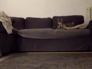 Doomcock75 July 22, 2025 Chaturbate stream image