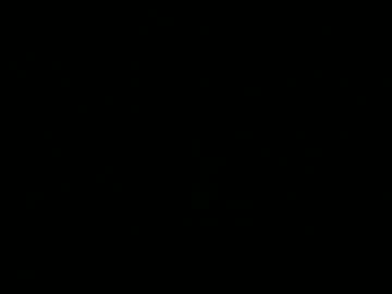 Bunny_Os July 22, 2025 Chaturbate stream image