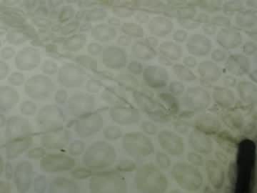 Nny832011 July 22, 2025 Chaturbate stream image
