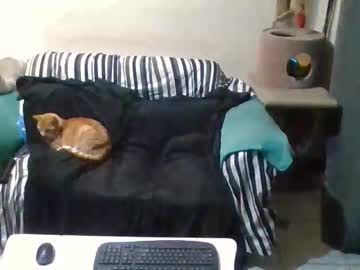 Wolfct July 23, 2025 Chaturbate stream image