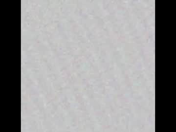 Chiloschista July 24, 2025 Chaturbate stream image
