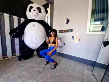 Candylovedady July 25, 2025 Chaturbate stream image