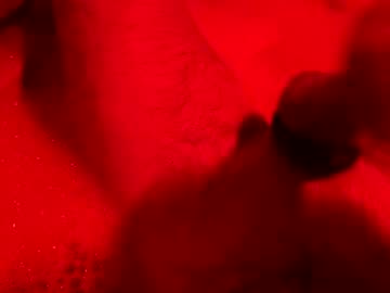 Onlyferris July 27, 2025 Chaturbate stream image