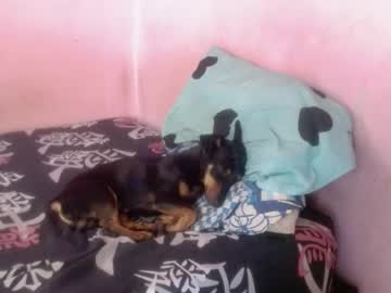 Tianiiss_Sweet July 28, 2025 Chaturbate stream image