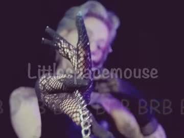 Littlespacemouse July 29, 2025 Chaturbate stream image