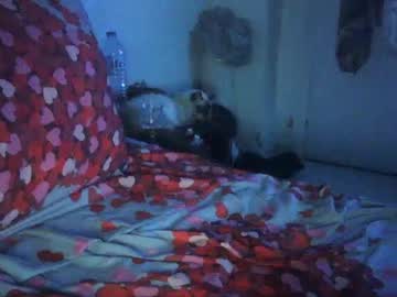 Mpboun August 01, 2025 Chaturbate stream image