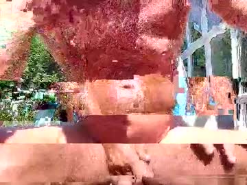 Justforyou777770 August 01, 2025 Chaturbate stream image