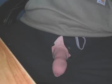 Mushroomtip0202 August 02, 2025 Chaturbate stream image