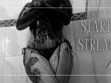 Xnova__ August 02, 2025 Chaturbate stream image