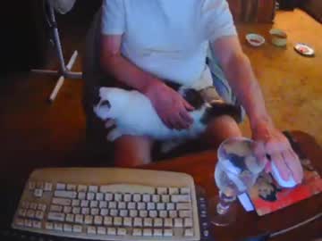 Piercejeans August 02, 2025 Chaturbate stream image