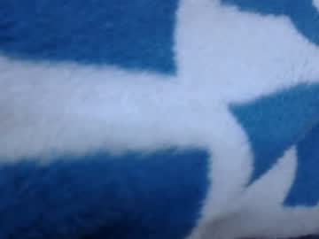 Belylover2323 August 03, 2025 Chaturbate stream image