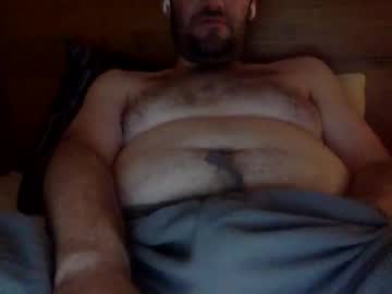Aussiecutebear August 03, 2025 Chaturbate stream image