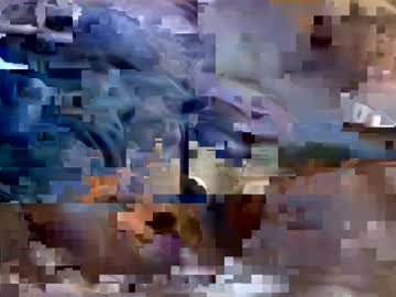 Ankh3580 August 03, 2025 Chaturbate stream image