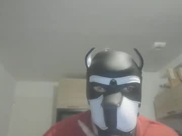 Jackstoun_Puppy August 04, 2025 Chaturbate stream image