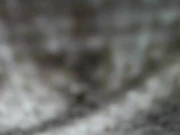 Meatbat007 August 04, 2025 Chaturbate stream image