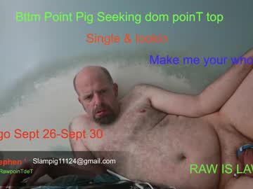 Rawpointpig41 August 05, 2025 Chaturbate stream image