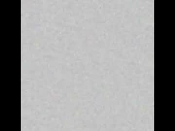 Tammy_Evaans August 05, 2025 Chaturbate stream image