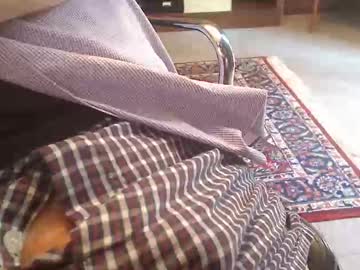 Chiguy444 August 07, 2025 Chaturbate stream image