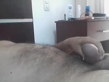 Gcccas August 07, 2025 Chaturbate stream image