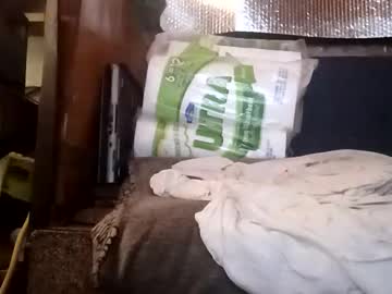 Mrralphfurley August 08, 2025 Chaturbate stream image