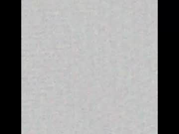 Raynes_World August 08, 2025 Chaturbate stream image