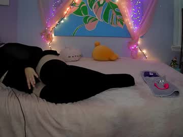 Trans_Druid August 08, 2025 Chaturbate stream image