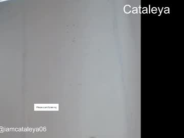 Skulycataleya August 09, 2025 Chaturbate stream image