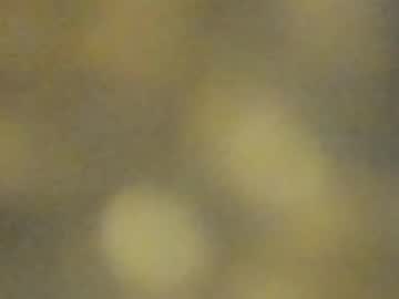 Sweet_Celeste69 August 10, 2025 Chaturbate stream image