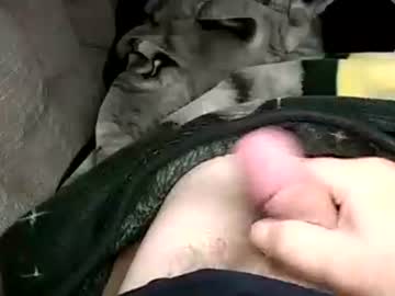 Stargazor August 11, 2025 Chaturbate stream image