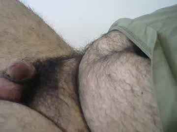 Dilaradagci August 12, 2025 Chaturbate stream image