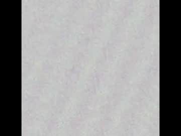 Morganswild August 12, 2025 Chaturbate stream image
