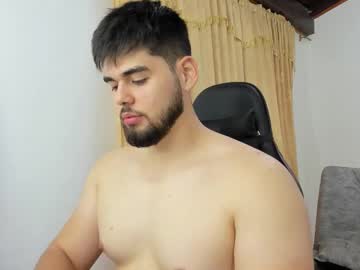 Hans_Fox03 August 12, 2025 Chaturbate stream image