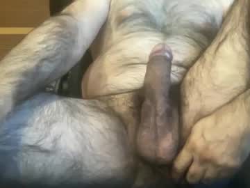Rotoball007 August 12, 2025 Chaturbate stream image