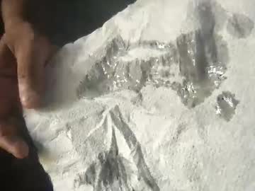 Maxy311 August 14, 2025 Chaturbate stream image