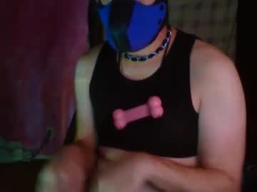 Pupbenny August 16, 2025 Chaturbate stream image