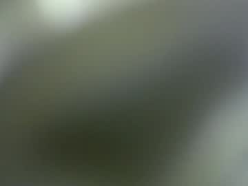 Emili_For_You_Bb August 18, 2025 Chaturbate stream image