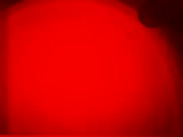Fucmebudoo August 19, 2025 Chaturbate stream image
