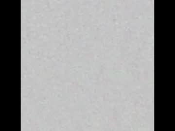 Femmelover444 August 19, 2025 Chaturbate stream image