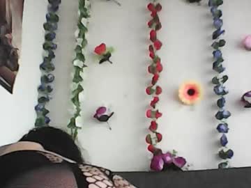 Curlybutterfly August 19, 2025 Chaturbate stream image
