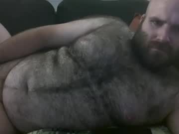 Hairiestbear stream photo from August 20, 2025